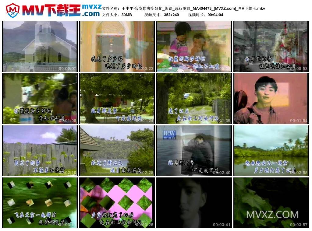 王中平-寂寞的脚步好忙_国语_流行歌曲_MA404473